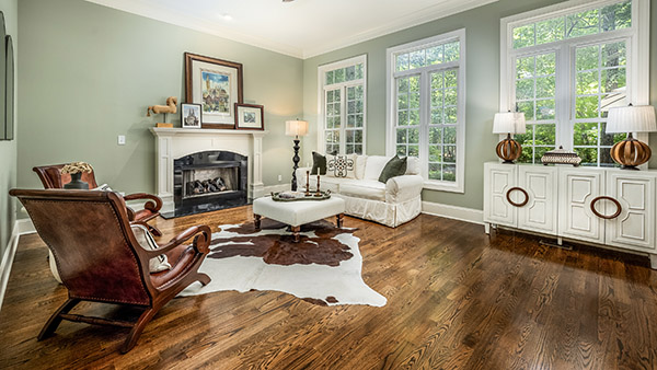 Lake Norman Real Estate Photo